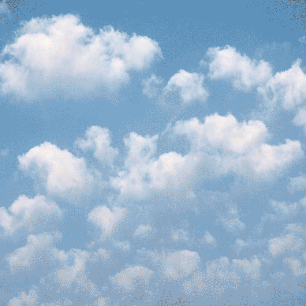 Carte Cadeau Le 9(B)